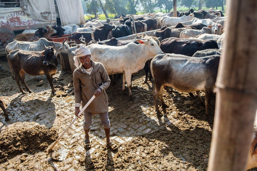 Photograph by Нигматулин Аркадий