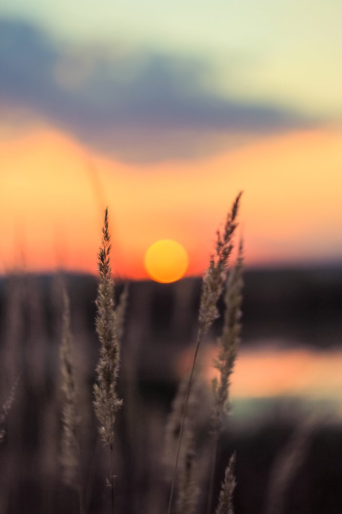 Тающее солнце