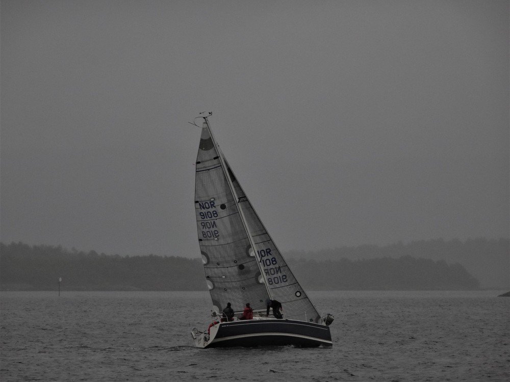 Норвежцам дождь ни почем