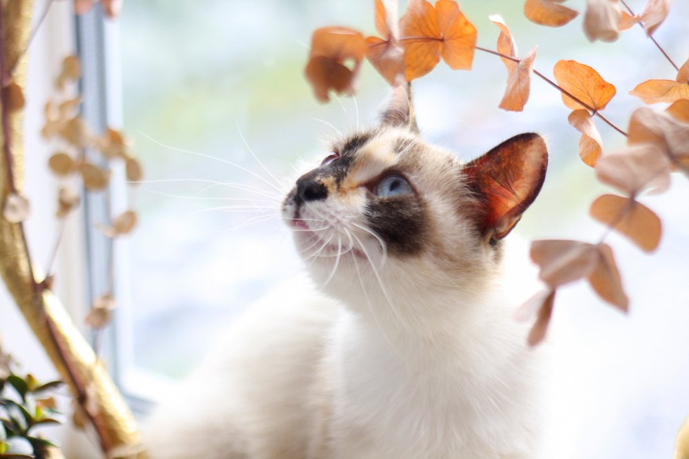 Photograph by Liza Kadochnikova