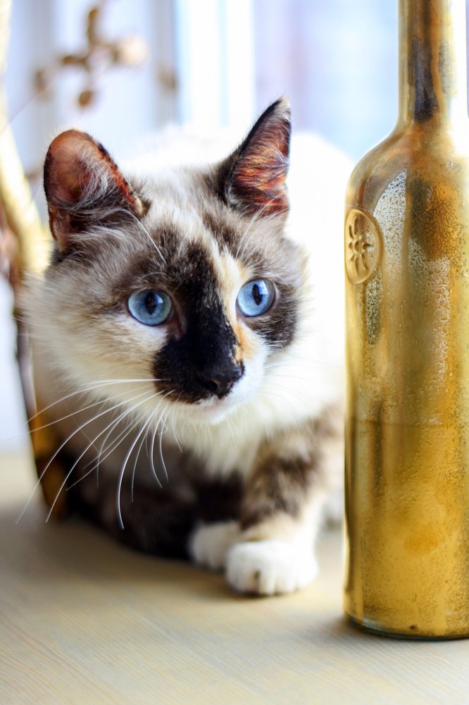 Photograph by Liza Kadochnikova