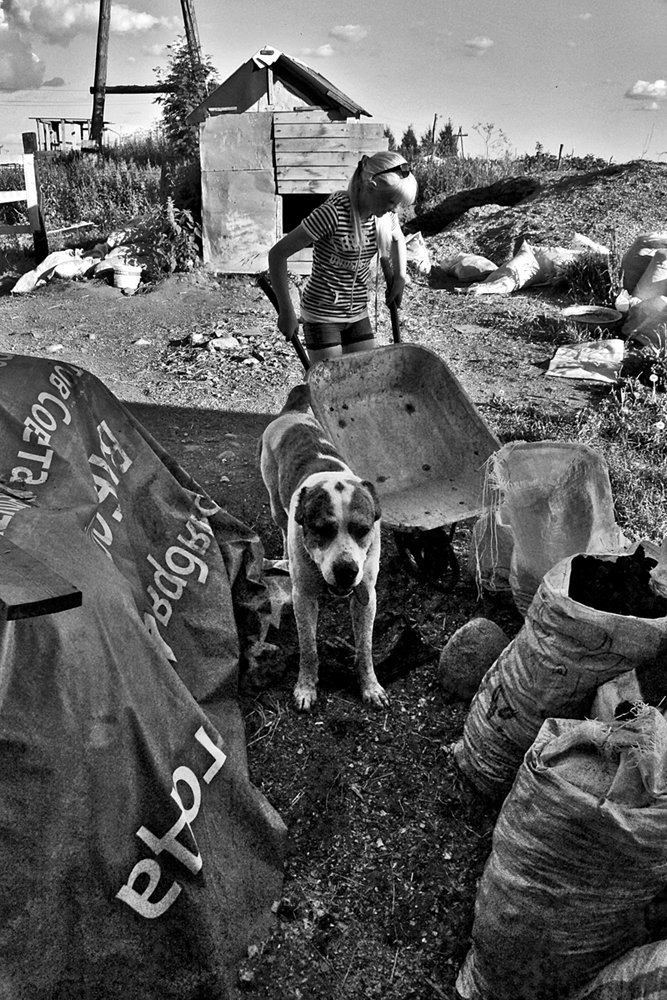 Работа в своем хозяйстве