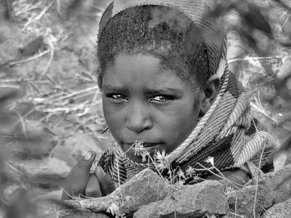 Photograph by Debbie Strauss