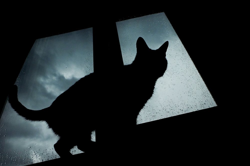 Photograph by Anna Saltykowa