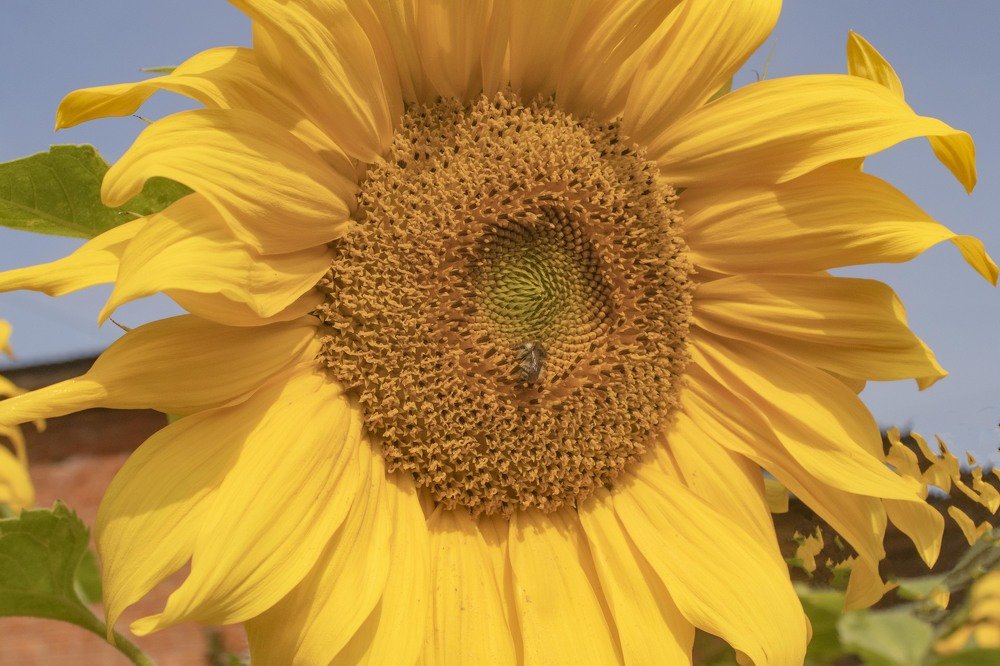 лето продолжается