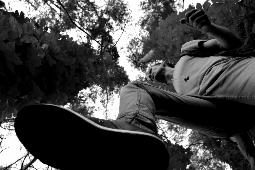 как себя чувствует муравей