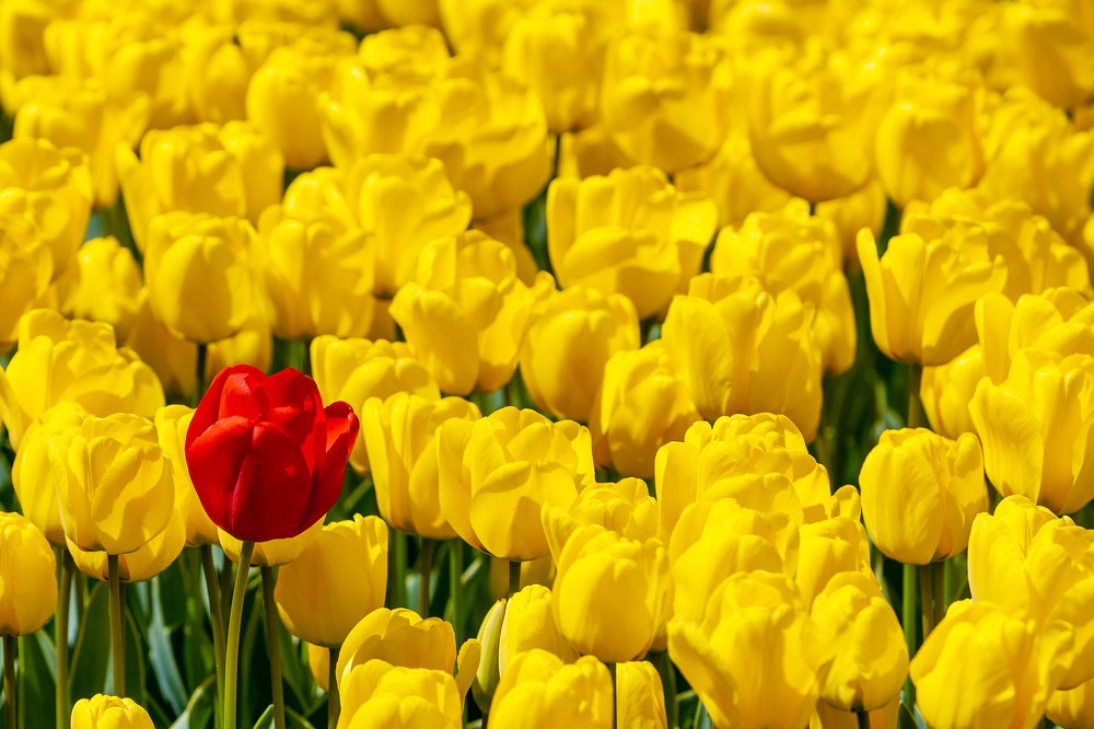 Photograph by Alexander Kalenski