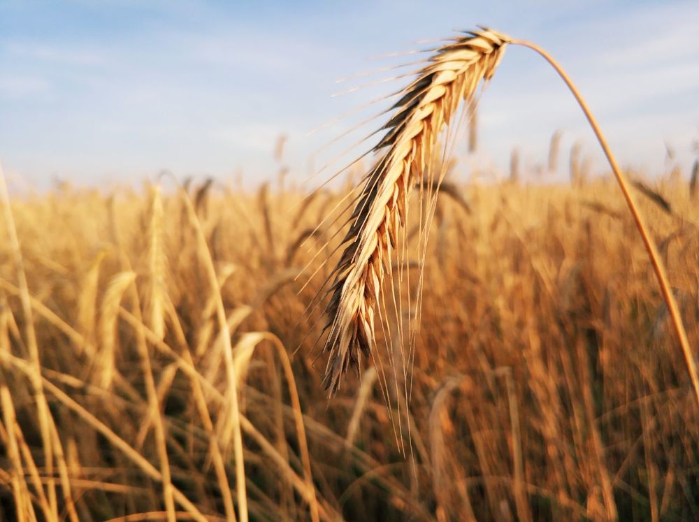 Photograph by Екатерина