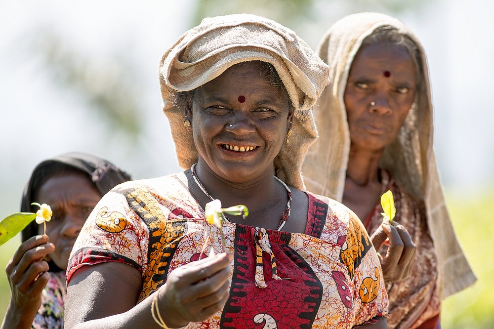 tea pickers in Sri Lanka