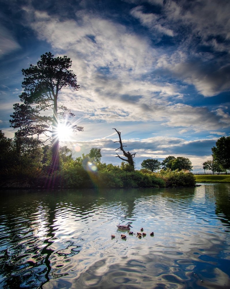 Dublin park in the summer