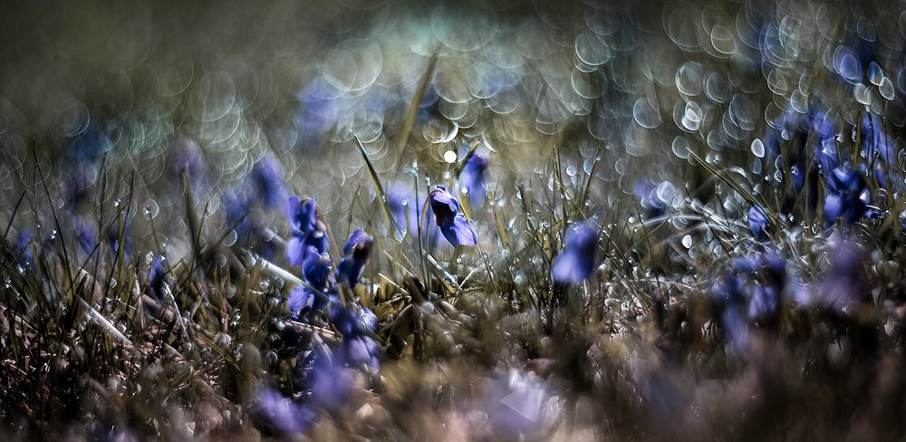 На реках Вавилонских