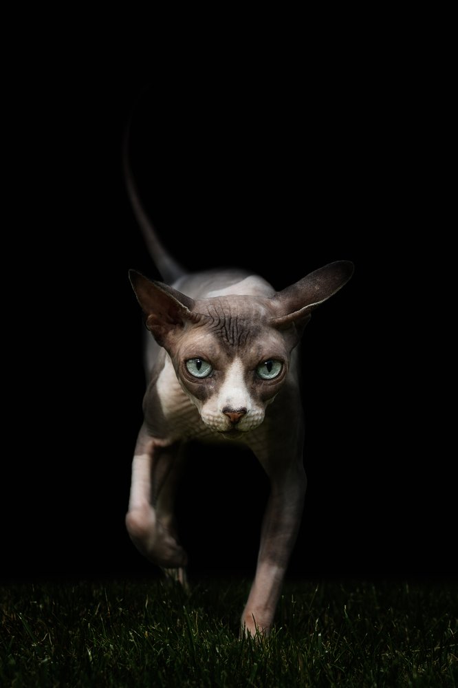 Photograph by Zdenka Janaskova