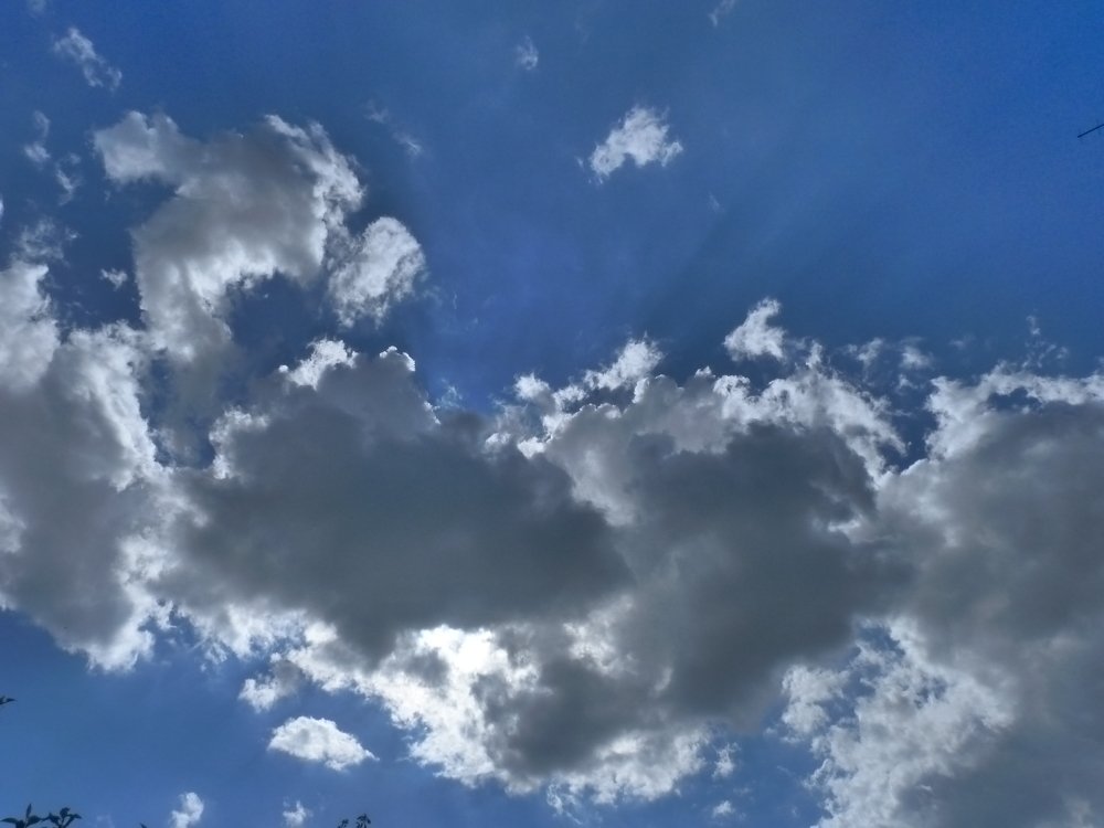 Photograph by Елизавета