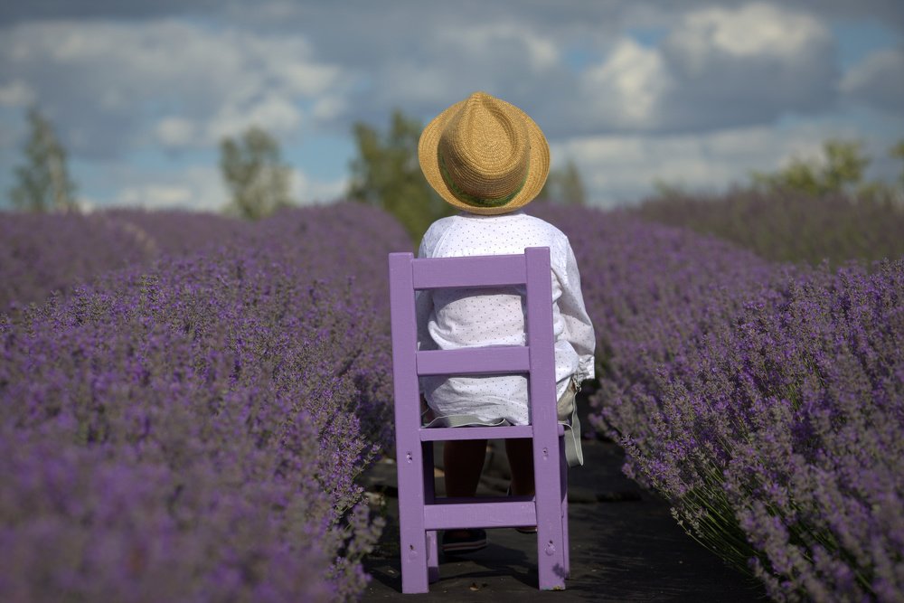 Лавандовое настроение