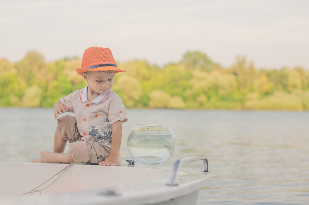 Вечер у Дона