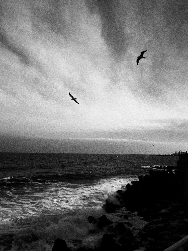 Black sea is black for now
