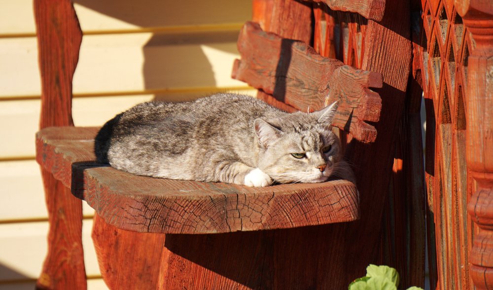 Photograph by Блюмина Елена
