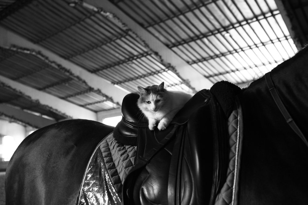 Фотография автора Денис Сухинин