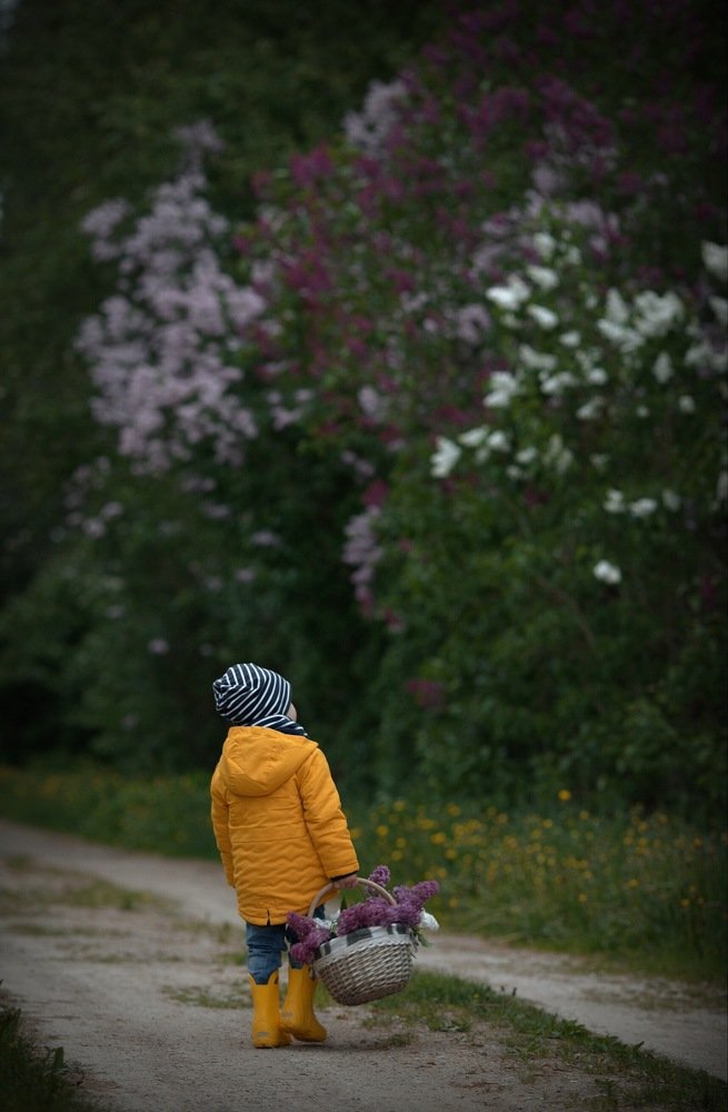 Когда цветёт сирень