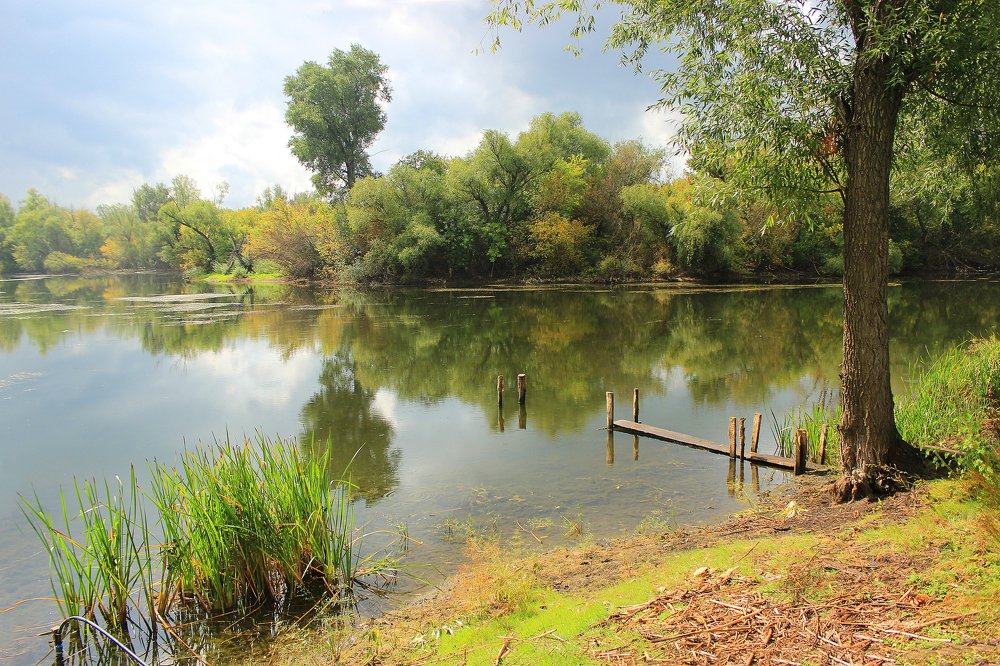 Тихий уголок природы