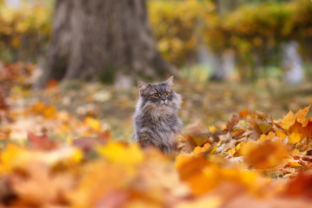 Photograph by Ирина Горюкина