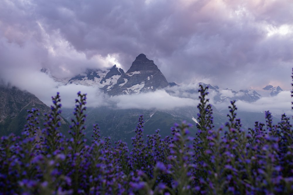 Photograph by Аверин Максим