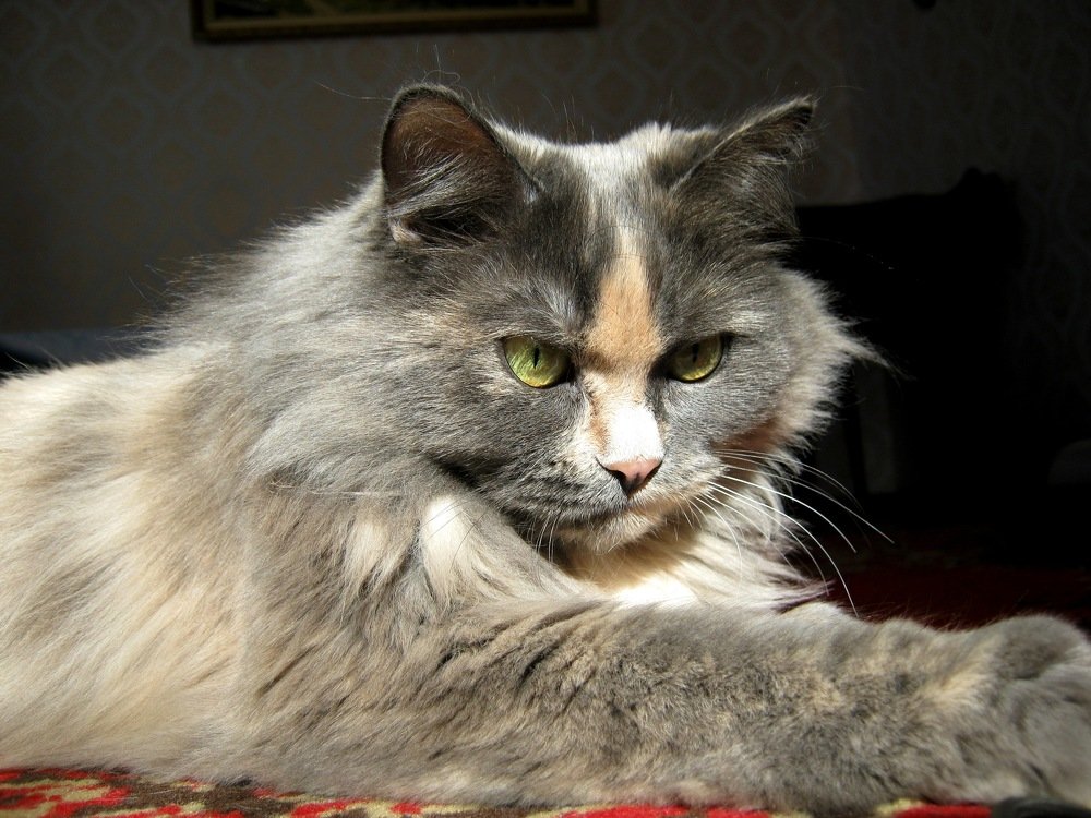 Photograph by Светлана Евпалова