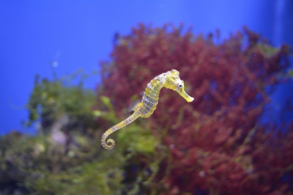 Photograph by Светлана Евпалова