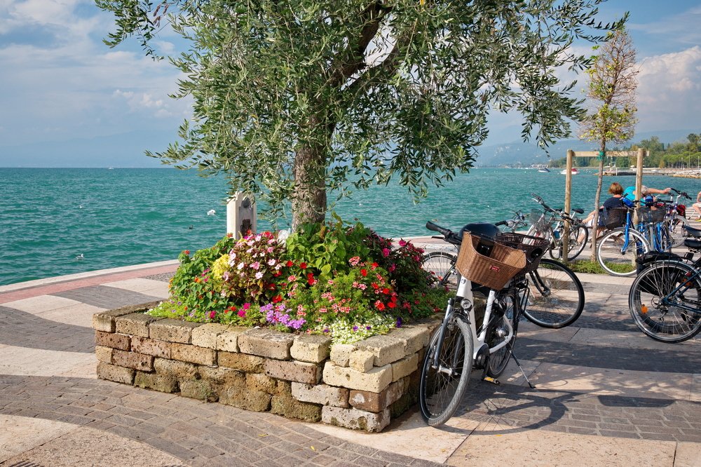 Photograph by Людмила Ефремова