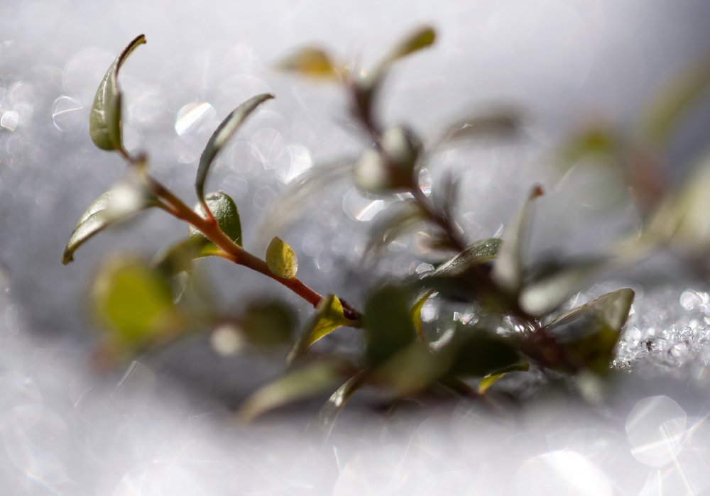 Пробуждение