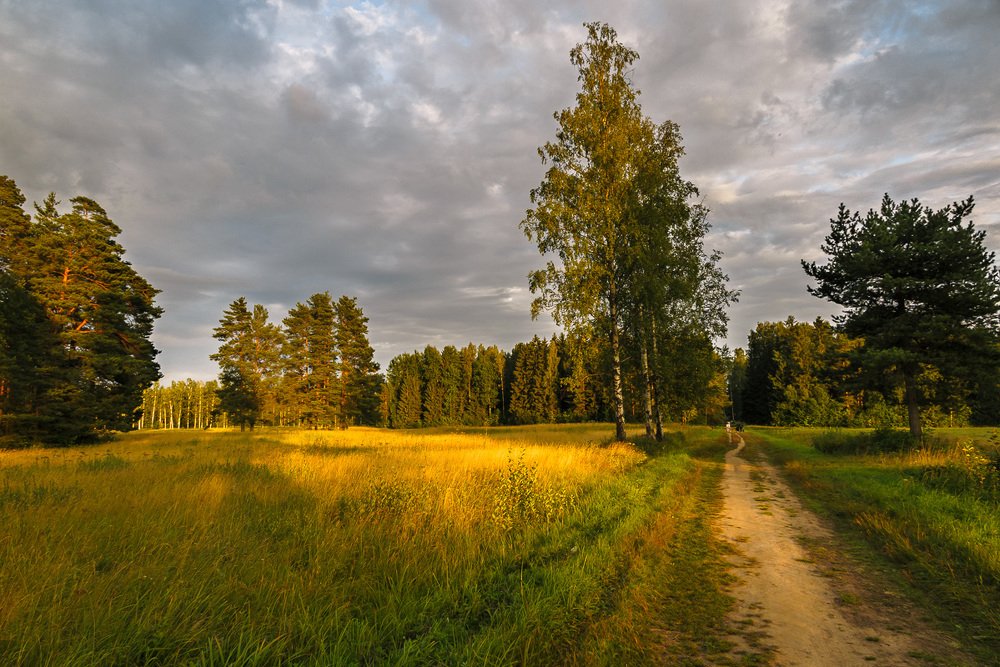 Август. Павловский парк.