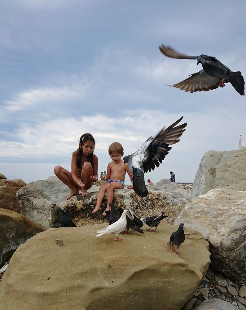 Дети на побережье