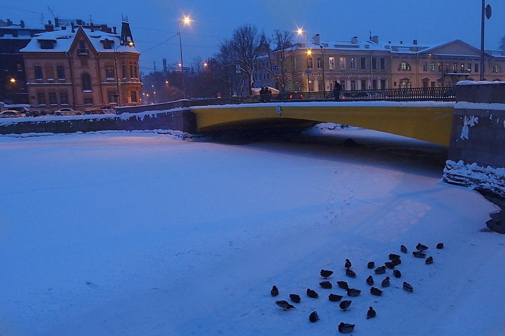 Зимняя синь.