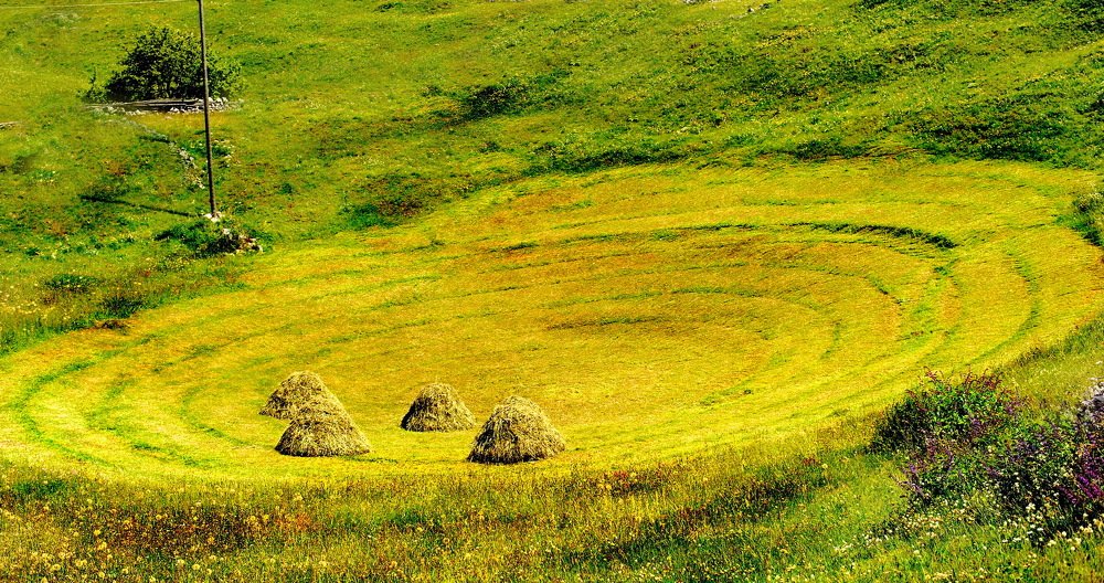 Время сенокоса.