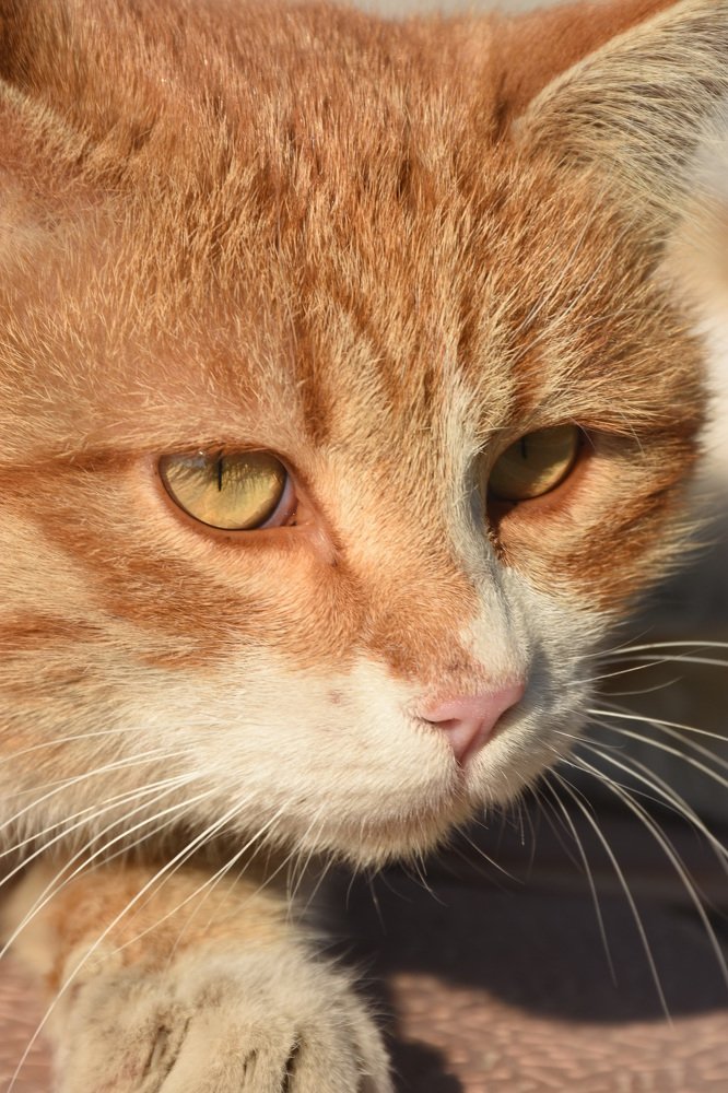 Photograph by Matineh Ahmadi