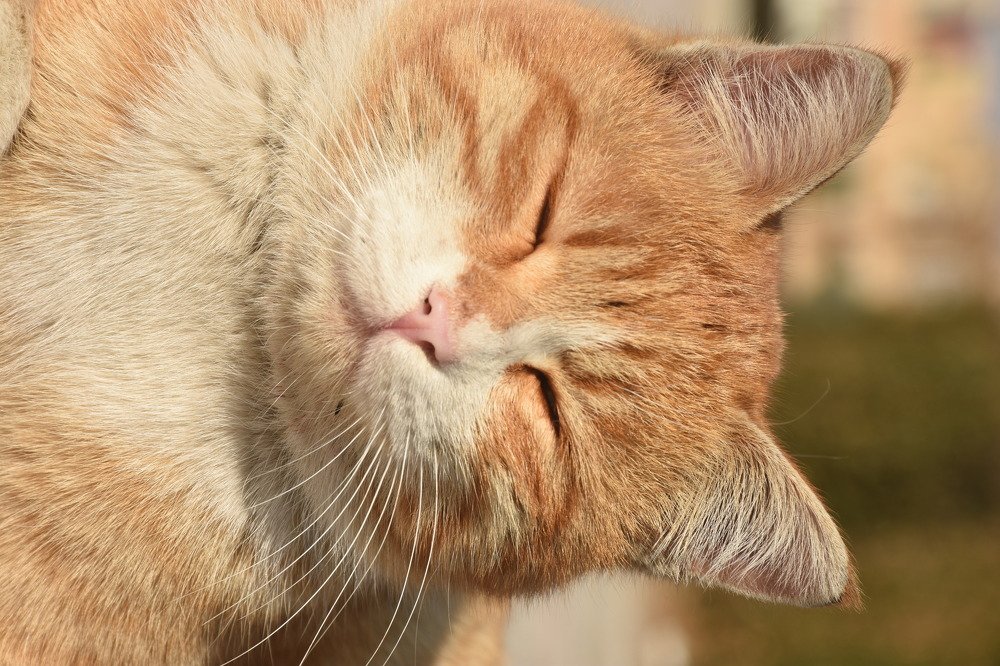 Photograph by Matineh Ahmadi