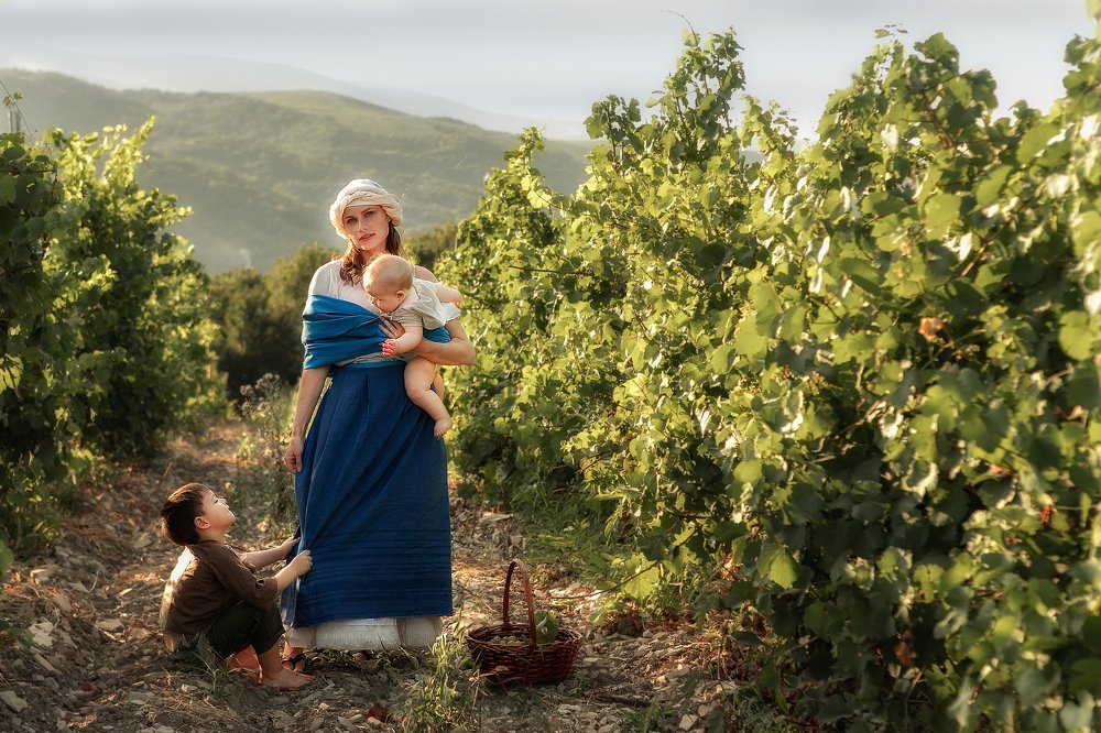 Сбор винограда