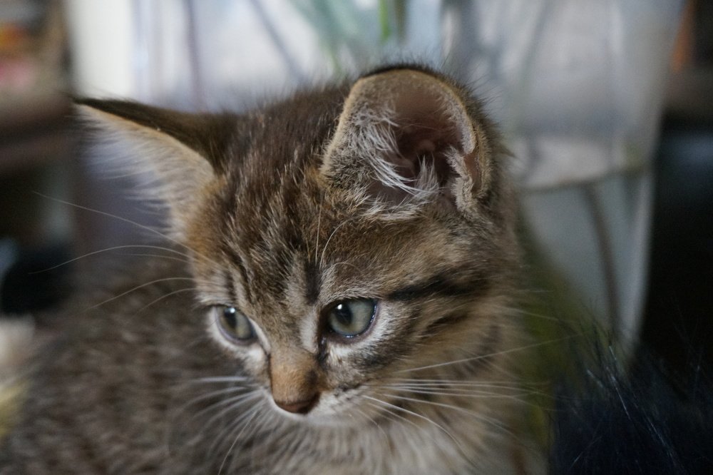 Photograph by Алия Байсыкова