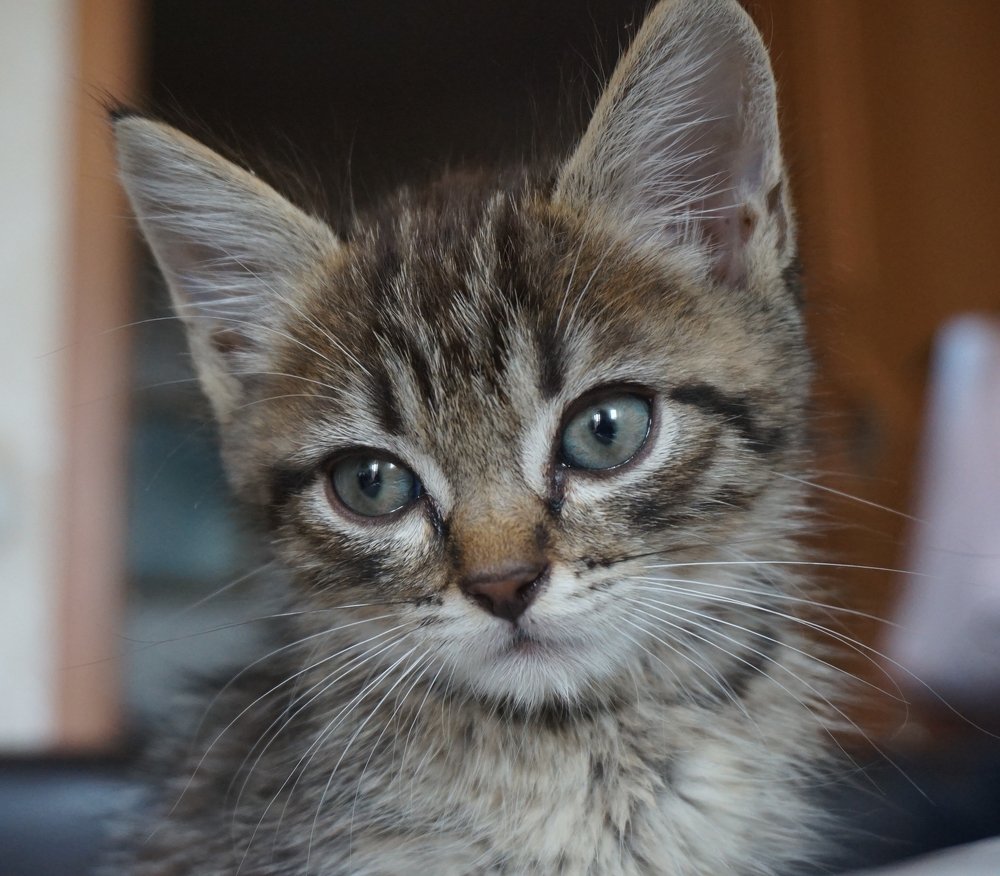 Photograph by Алия Байсыкова