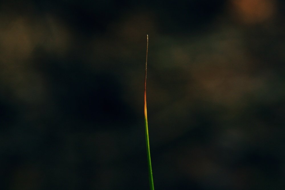 Одиночество