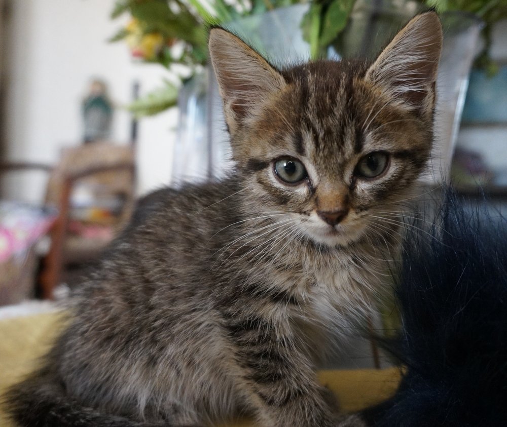 Photograph by Алия Байсыкова