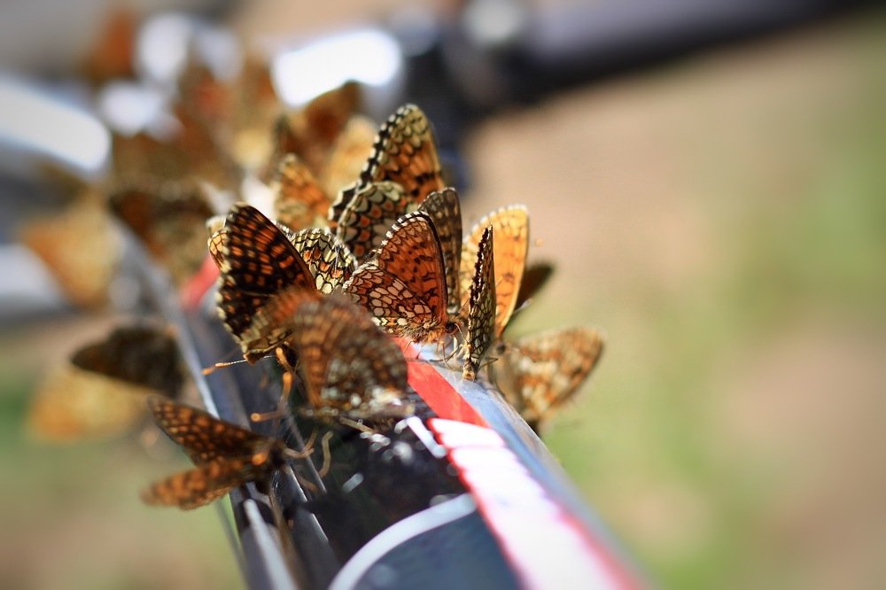 Урочище Чурокайка