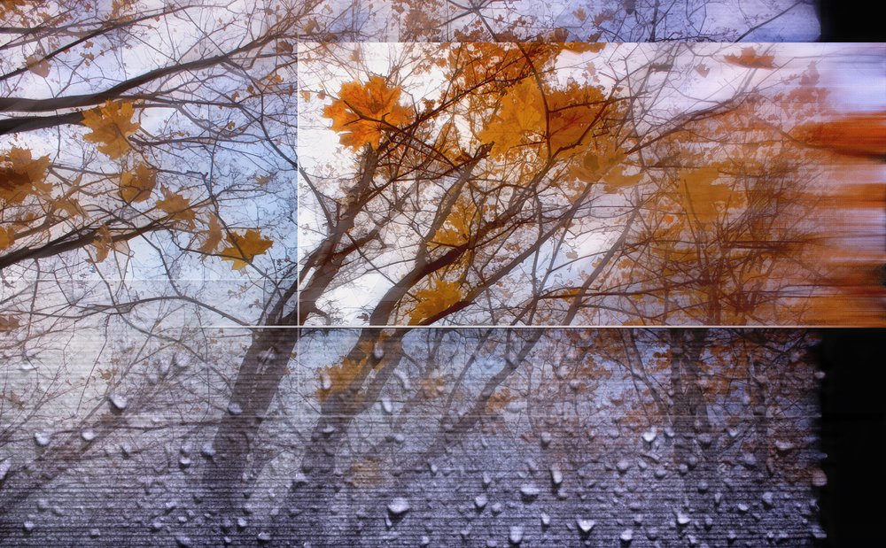 Дождливая осень