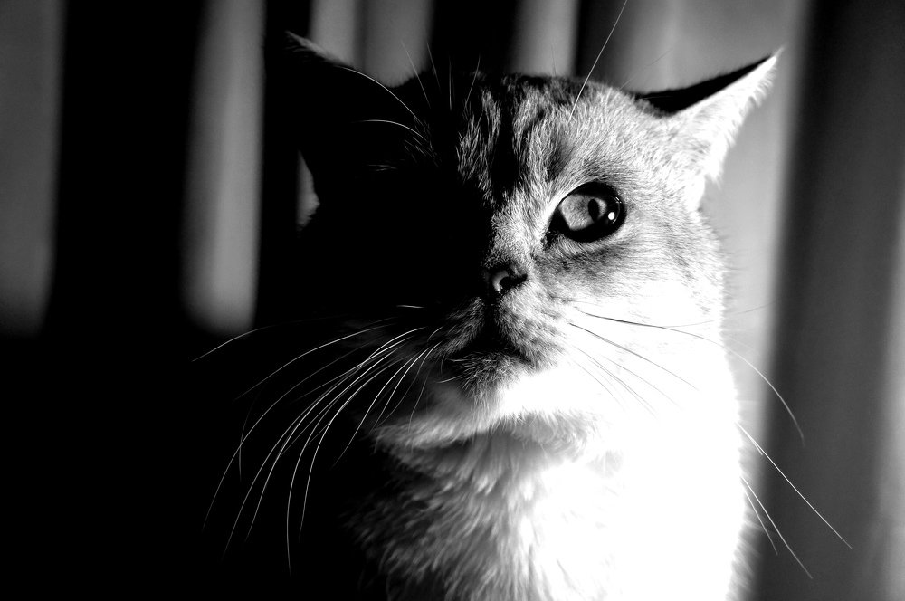 Photograph by Elena