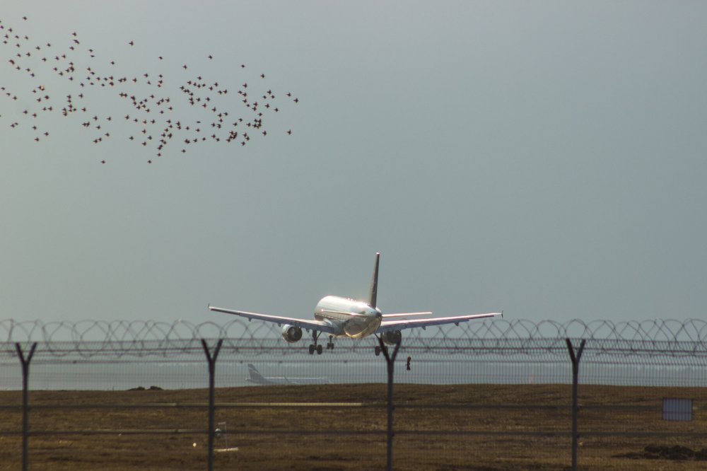 Воздушная гавань в Шереметьево