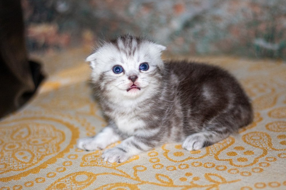 Photograph by Ирина Антонова