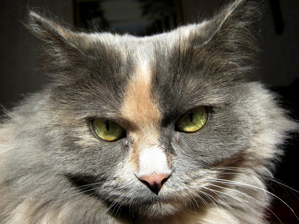 Photograph by Светлана Евпалова