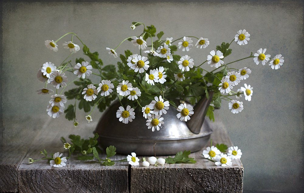 Утро осени.