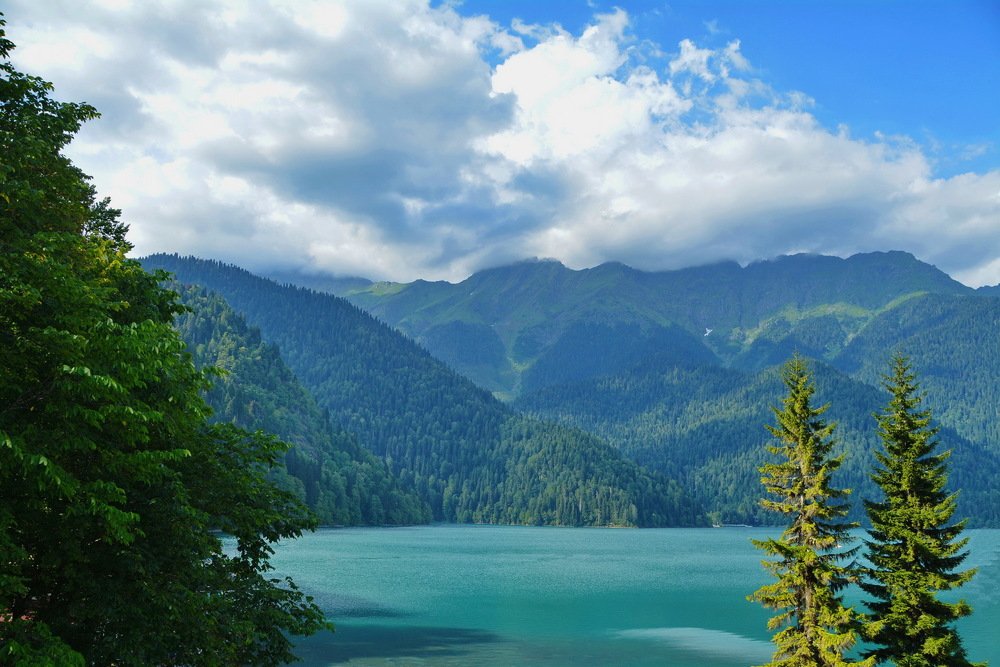 Две елки у озера Рица