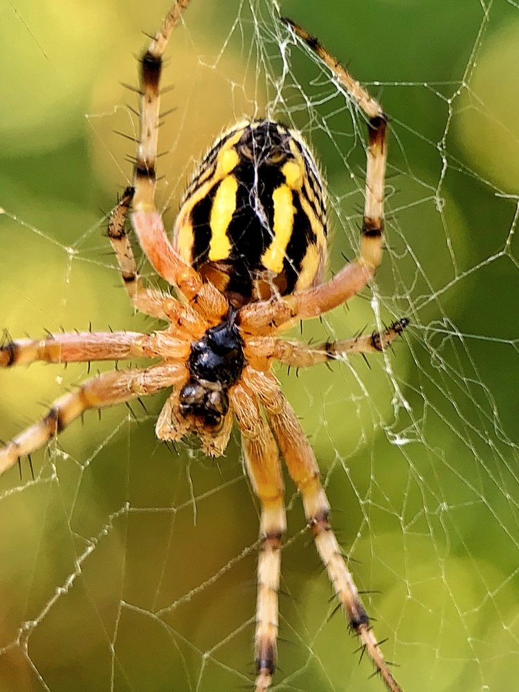 Photograph by vasil kolev